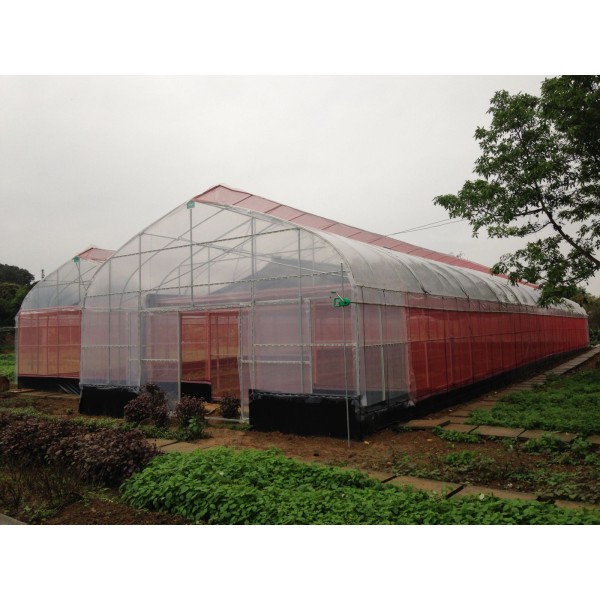 Kỹ thuật lắp dựng nhà kính Kỹ thuật lắp dựng nhà kính